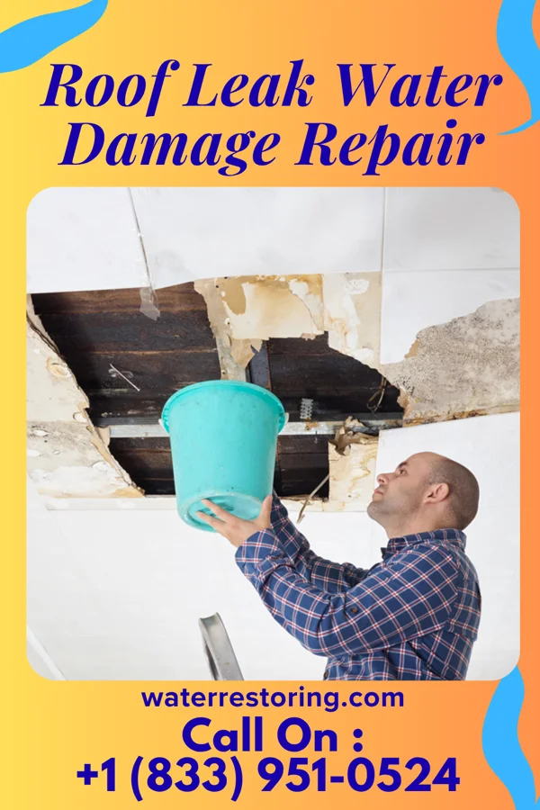 Roof Leak Water Damage Repair in Canoochee, GA